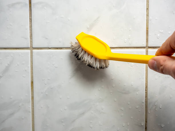 Best Health and Safety Mold Remediation in Farmington, MO