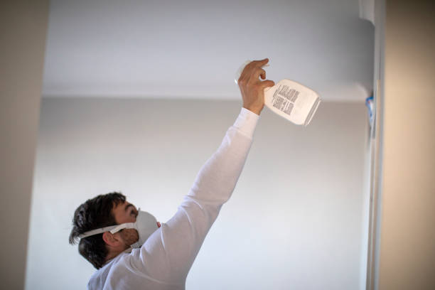 Best White Mold Remediation in Farmington, MO