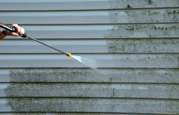Best Post-Flood Mold Remediation in Farmington, MO