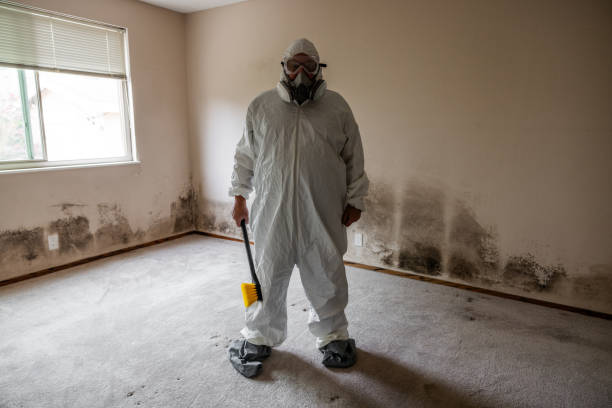 Best HVAC Mold Remediation in Farmington, MO